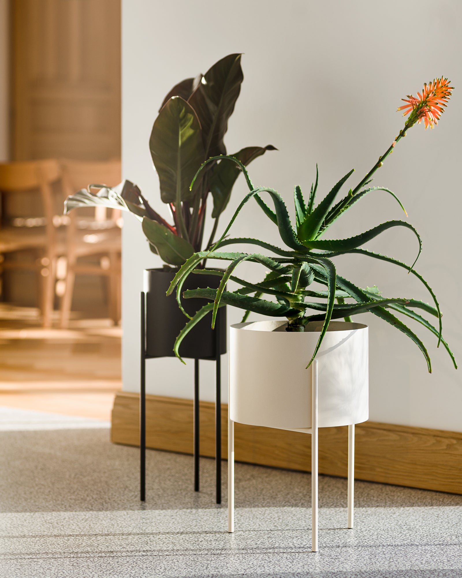 Maki Wide & Tall Bundle