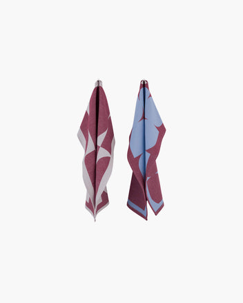 Abi Dish Cloths - set of 2