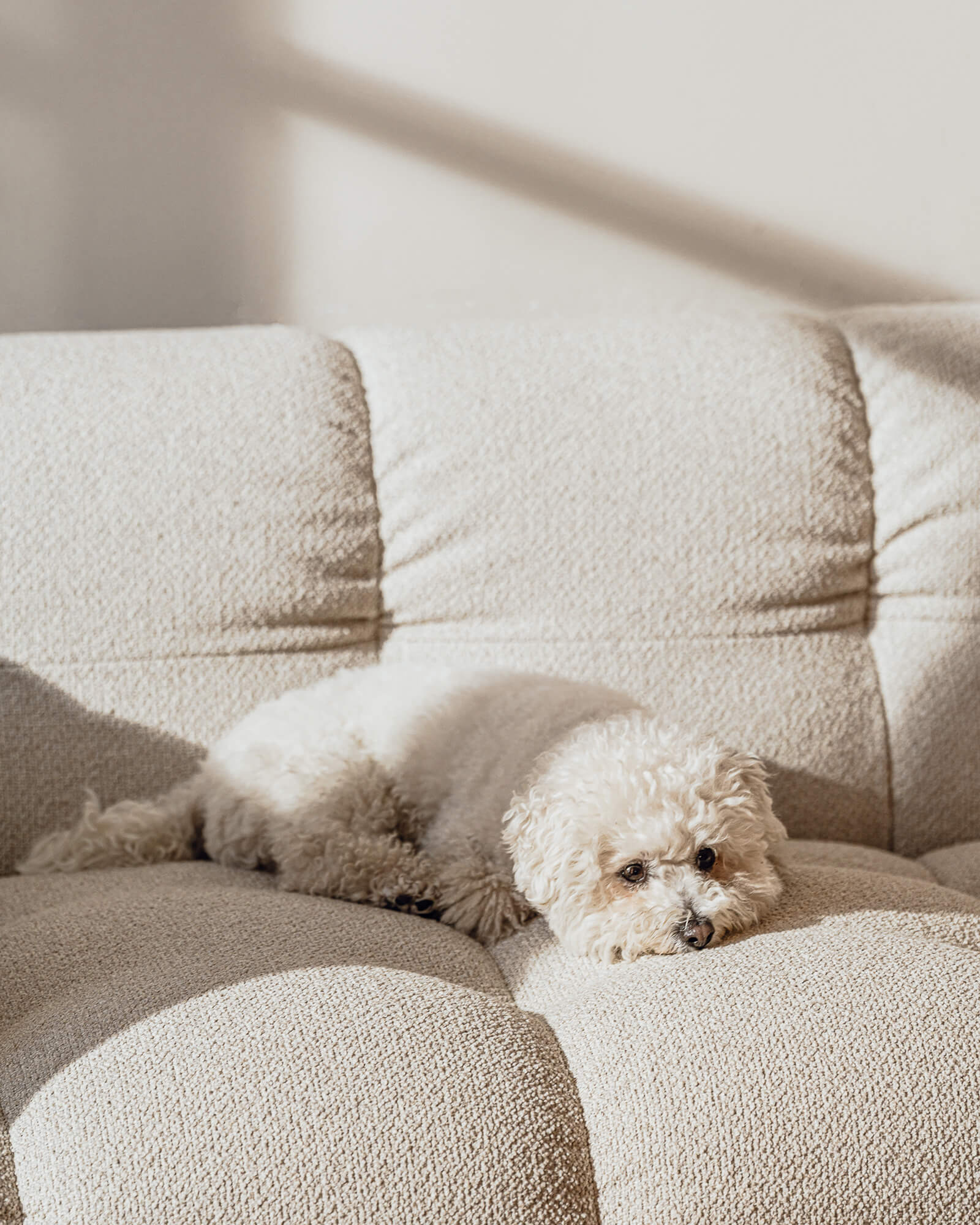 Bolbi Sofa 2-seater
