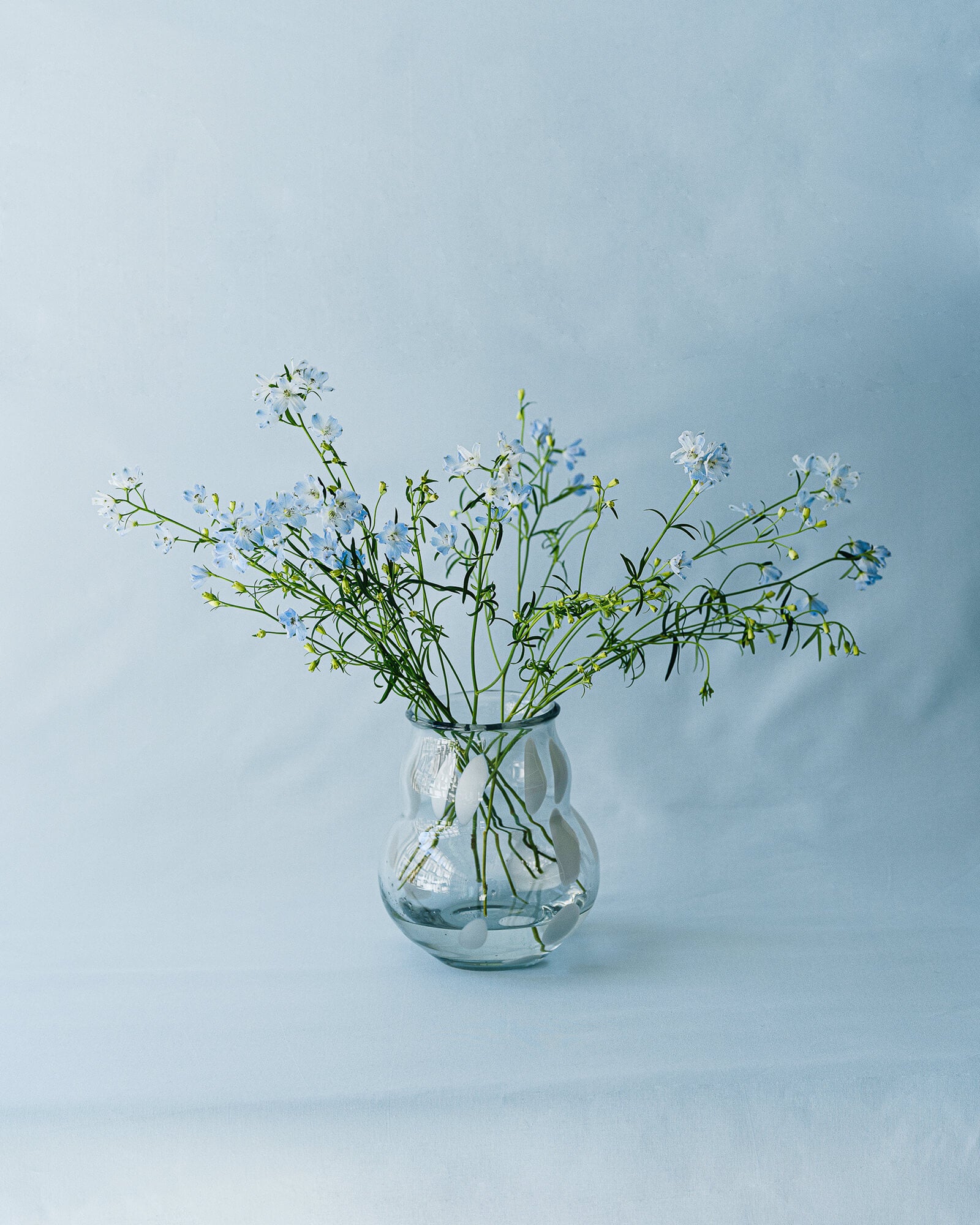Dam Vase