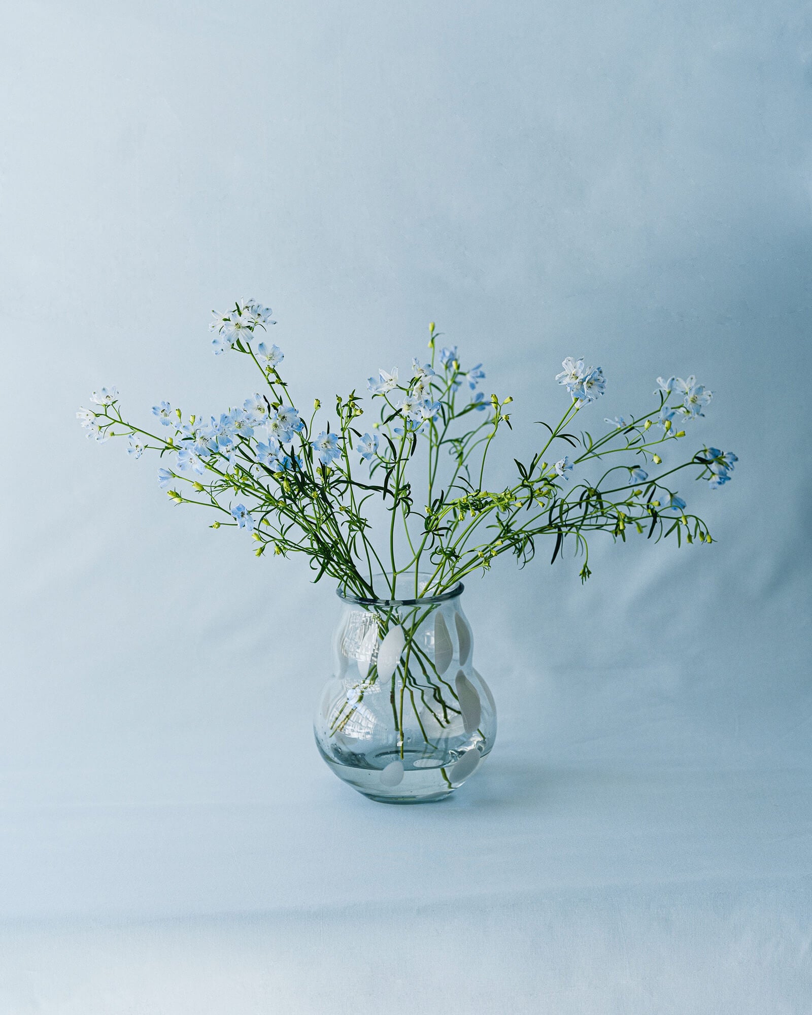 Dam Vase