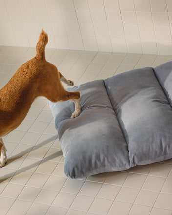 Luvi Pet Bed - large