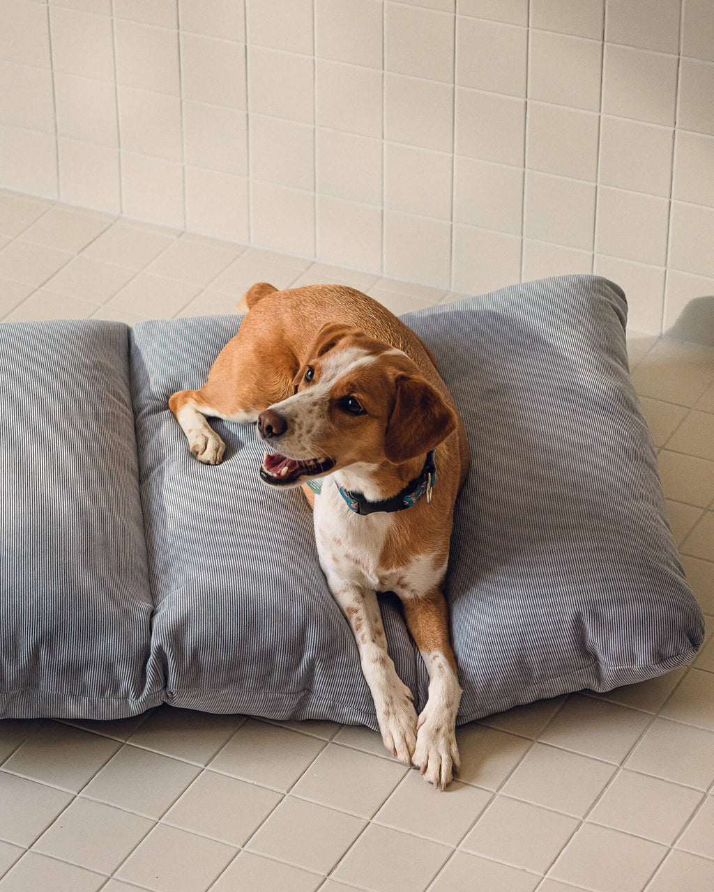 Luvi Pet Bed - large