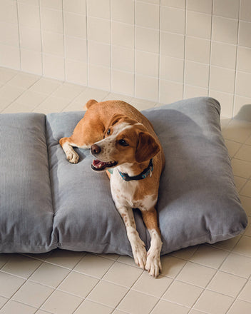 Luvi Pet Bed - large