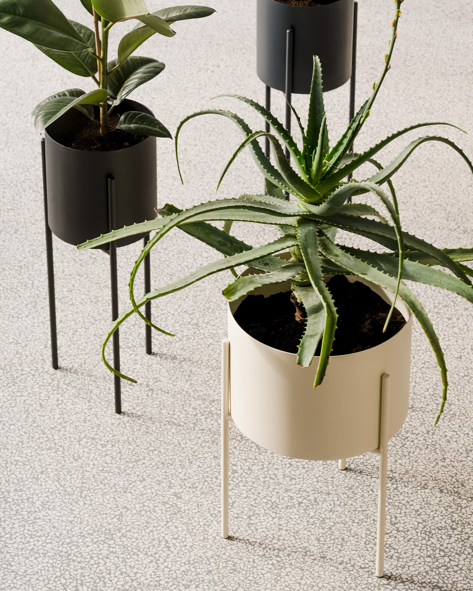Maki Wide & Tall Bundle