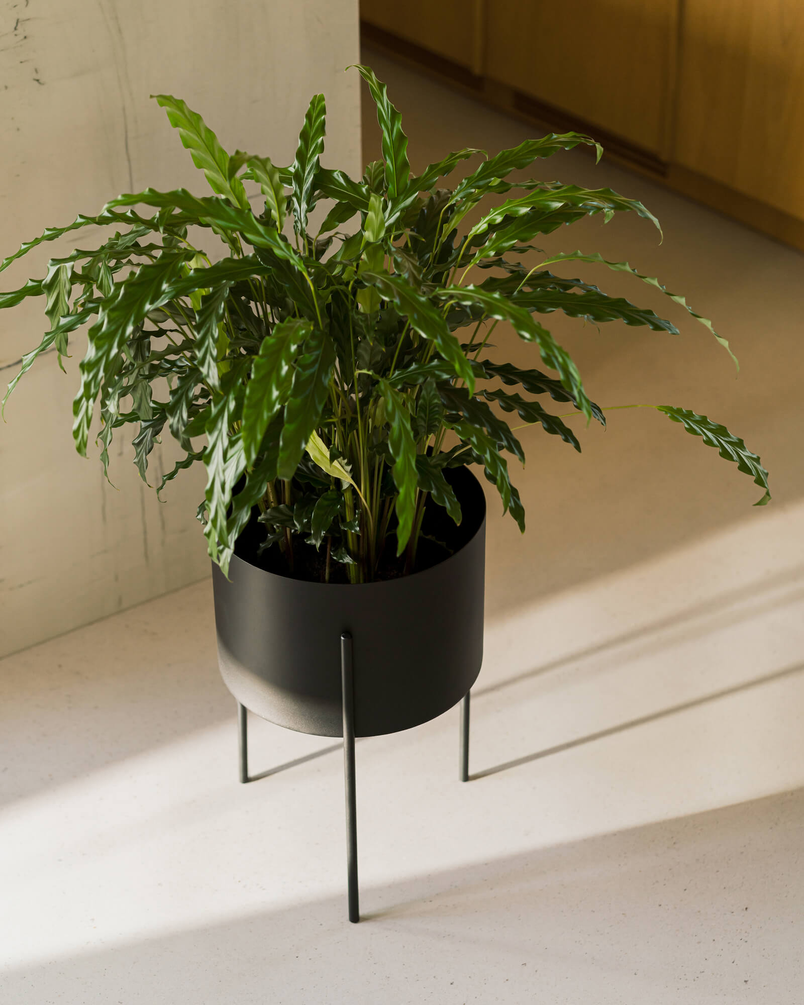 Maki Plant Pot - tall