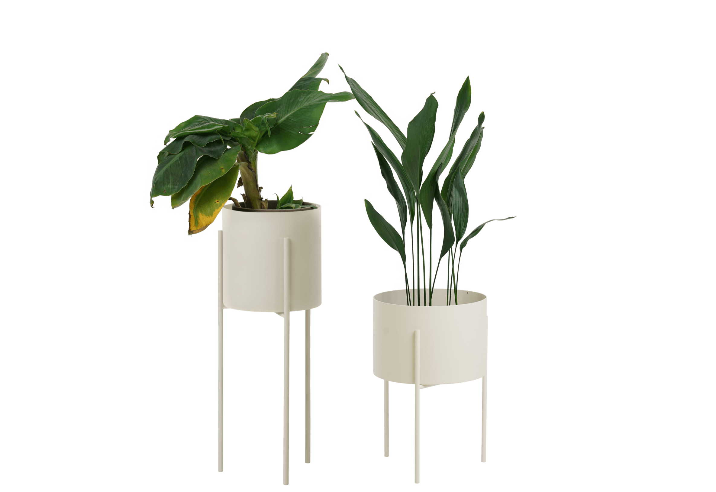 Maki Wide & Tall Bundle
