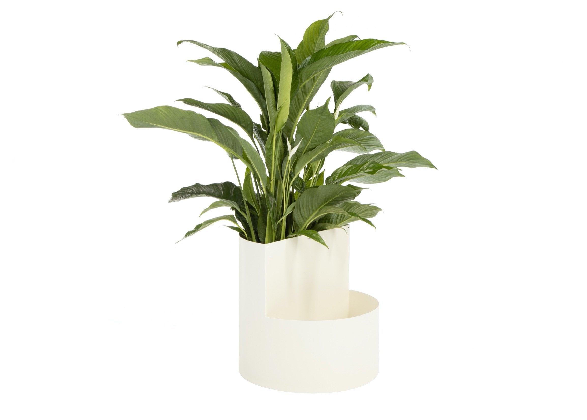 Owal Plant Pot